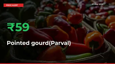 This Mandi Records 59.45% Jump in Pointed gourd(Parval) Prices