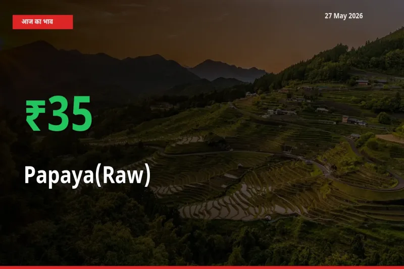 पपीता (कच्चा) के दाम प्रमुख मंडी में 34.77% बढ़े, 24 घंटे में बड़ा बदलाव