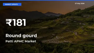 Round gourd Prices Touch 30-Day Low in Patti APMC – May 27 Update