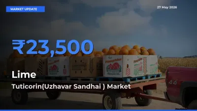 Tuticorin(Uzhavar Sandhai ) Emerges as Top Mandi for Lime Prices Today