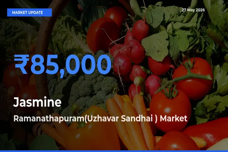 Ramanathapuram(Uzhavar Sandhai ) Tops Jasmine Rates – May 27 Market Update