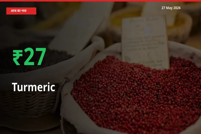 27 May अपडेट: हल्दी के दाम मंडी में 27.29% उछले