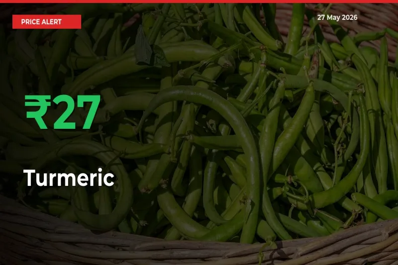 Sharp Jump! Turmeric Prices Climb 27.29% in 24 Hours at Key Mandis