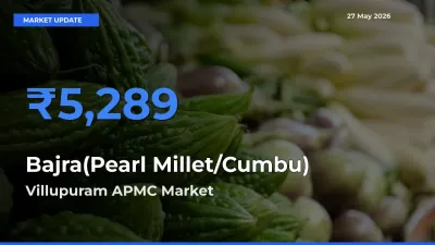Villupuram APMC Emerges as Top Mandi for Bajra(Pearl Millet/Cumbu) Prices Today