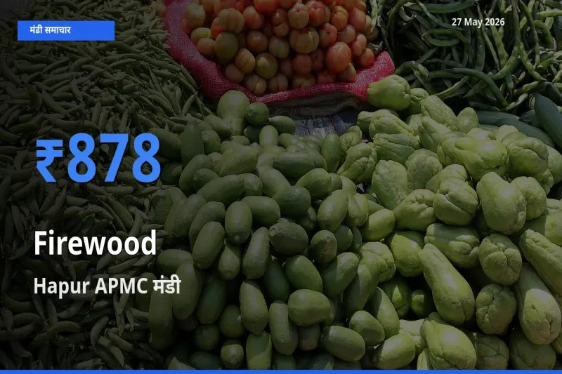आज जलावन लकड़ी के सबसे ज़्यादा दाम Hapur APMC मंडी में दर्ज