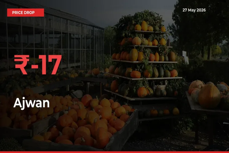 Farmers Alert as Ajwan Prices Slide 17.04% in Local Mandis