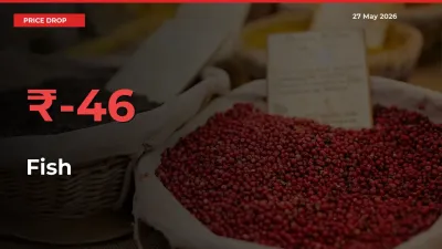 Farmers Alert as Fish Prices Slide 45.65% in Local Mandis