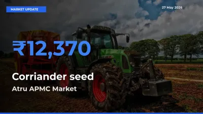 Atru APMC Tops Corriander seed Mandi Rates Today
