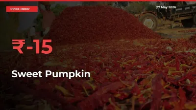 Why Sweet Pumpkin Prices Fell 15.25% in a Day at Mandis
