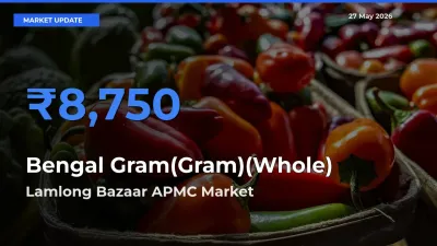 Market Watch: Lamlong Bazaar APMC Becomes Top Mandi for Bengal Gram(Gram)(Whole)