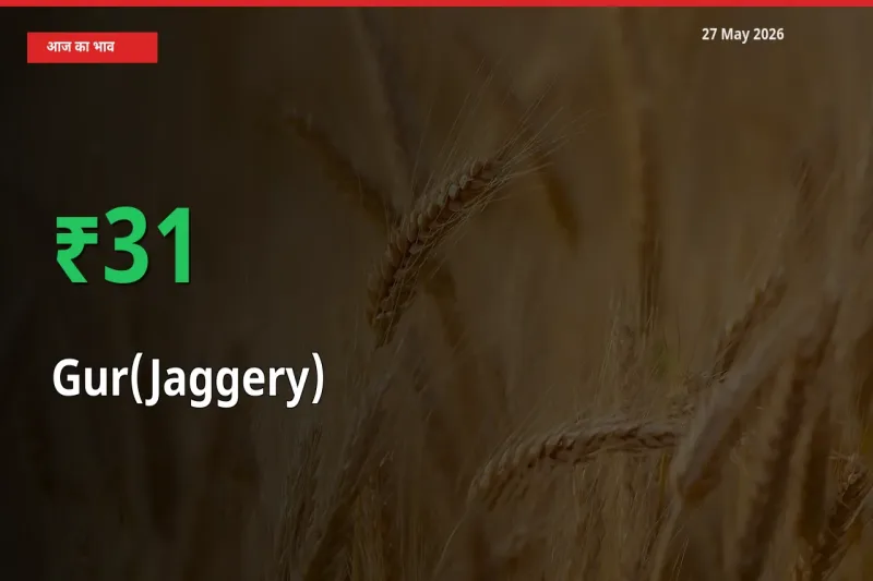 तेज़ तेजी! मंडी में गुड़ के दाम 31.33% चढ़े