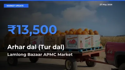 Farmers Prefer Lamlong Bazaar APMC as Arhar dal (Tur dal) Hits Highest Rate