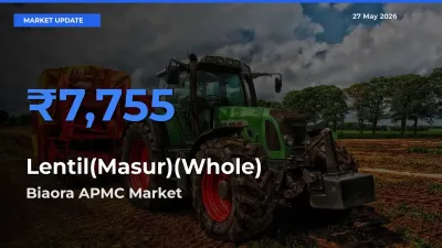 Biaora APMC Emerges as Top Mandi for Lentil(Masur)(Whole) Prices Today