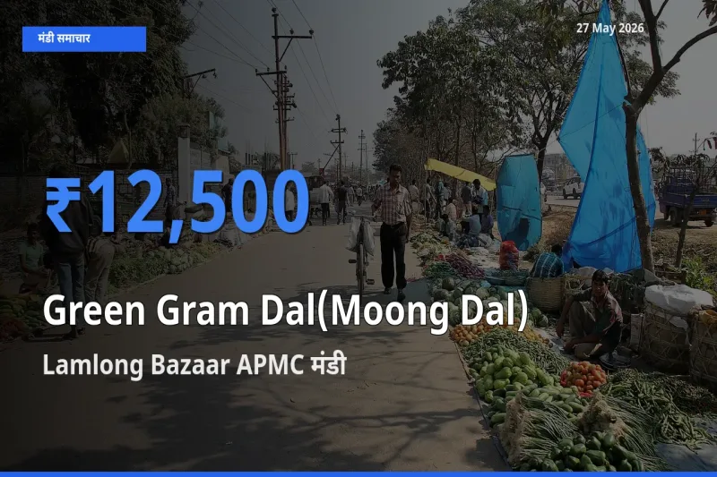 बाज़ार संकेत: Lamlong Bazaar APMC बना मूंग दाल के लिए आज की टॉप मंडी