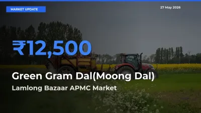 Lamlong Bazaar APMC Emerges as Top Mandi for Green Gram Dal(Moong Dal) Prices Today