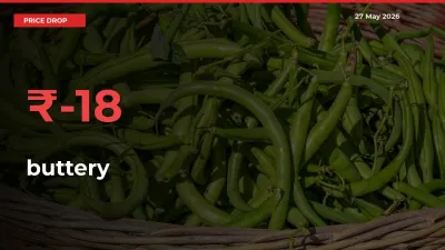 Why buttery Prices Fell 18.37% in a Day at Mandis