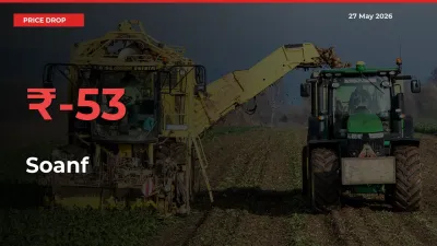 Farmers Alert as Soanf Prices Slide 52.67% in Local Mandis