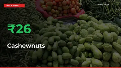 Why Cashewnuts Prices Rose 26.28% in a Day at Mandis