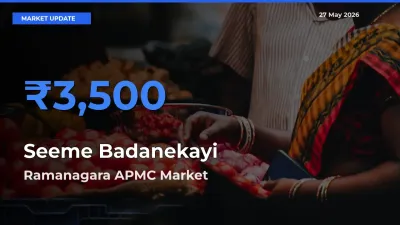 Ramanagara APMC Records Highest ₹3,500 Rate for Seeme Badanekayi