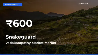 Farmers Concerned as Snakeguard Hits 30-Day Low in vadakarapathy Market