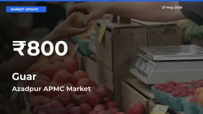 Guar Falls to ₹800 in Azadpur APMC – 30-Day Lowest Rate