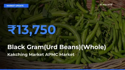 Kakching Market APMC Leads as Top Mandi for Black Gram(Urd Beans)(Whole) Prices