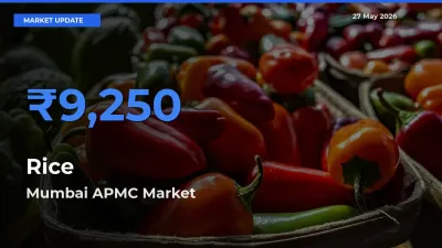 Mumbai APMC Leads as Top Mandi for Rice Prices