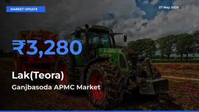 Ganjbasoda APMC Tops Lak(Teora) Mandi Rates Today