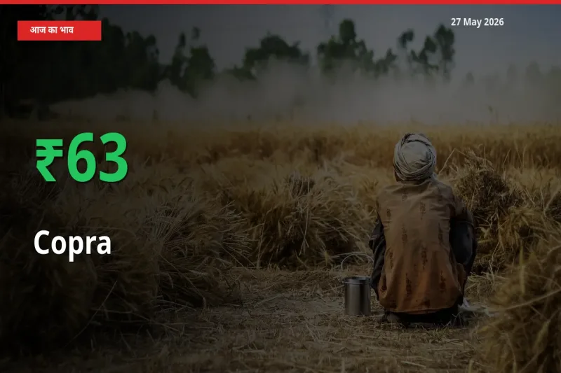 स्थानीय मंडी में सूखा नारियल के दाम अचानक 63.21% उछले, किसान सतर्क
