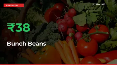 Why Bunch Beans Prices Rose 38% in a Day at Mandis