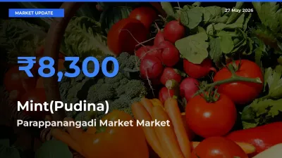 Parappanangadi Market Emerges as Top Mandi for Mint(Pudina) Prices Today