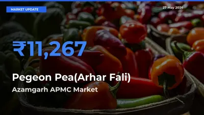Azamgarh APMC Records Highest ₹11,267 Rate for Pegeon Pea(Arhar Fali)