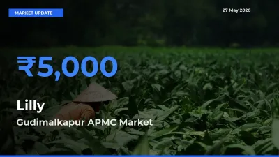 Gudimalkapur APMC Records Highest ₹5,000 Rate for Lilly