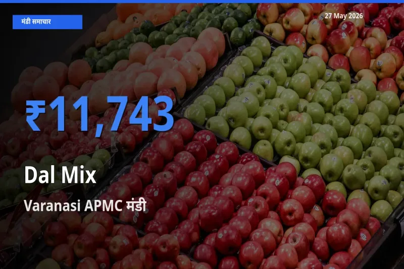 आज मिक्स दाल के सबसे ऊँचे दाम ₹11,743 Varanasi APMC मंडी में