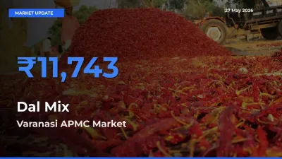 Varanasi APMC Leads as Top Mandi for Dal Mix Prices