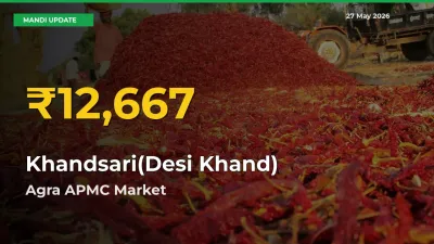 Farmers Benefit as Khandsari(Desi Khand) Rate Touches New High in Agra APMC