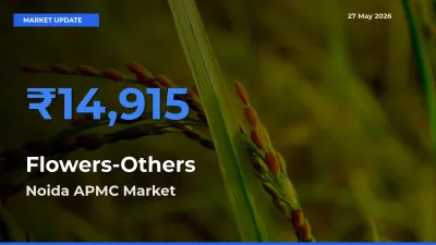Noida APMC Records Highest ₹14,915 Rate for Flowers-Others