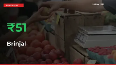Why Brinjal Prices Rose 51.28% in a Day at Mandis
