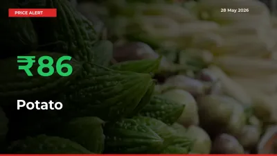 This Mandi Records 86.36% Jump in Potato Prices