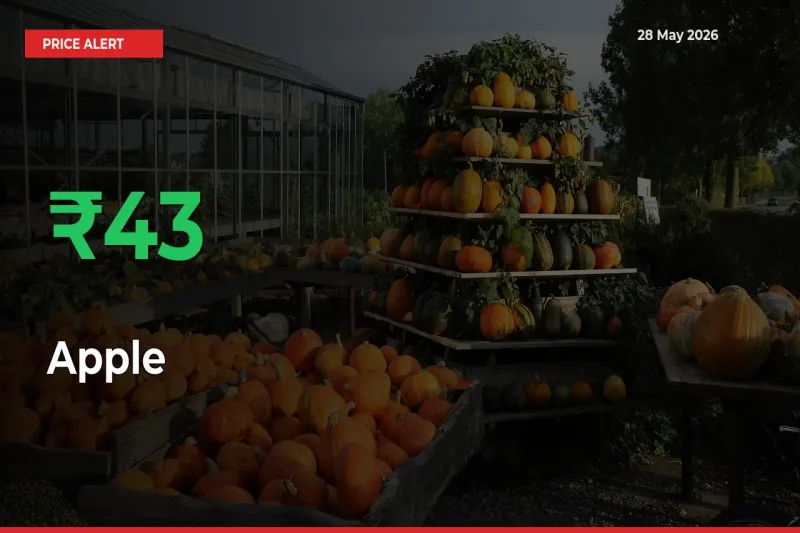 This Mandi Records 43.06% Jump in Apple Prices