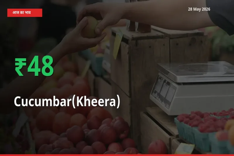 खीरा 47.86% उछला, मंडी