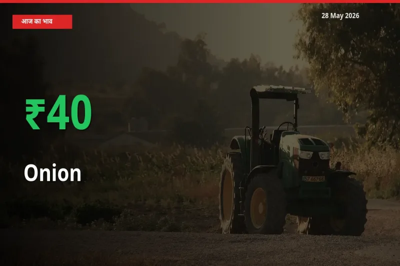 तेज़ तेजी! मंडी में प्याज के दाम 39.54% चढ़े