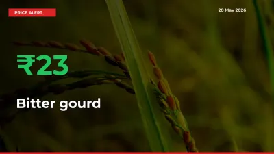 Bitter gourd Prices Rise 22.58% in a Day at Major Mandis