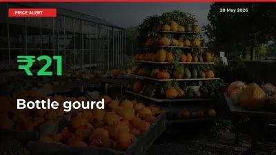 Bottle gourd Rises 20.9% at Mandis