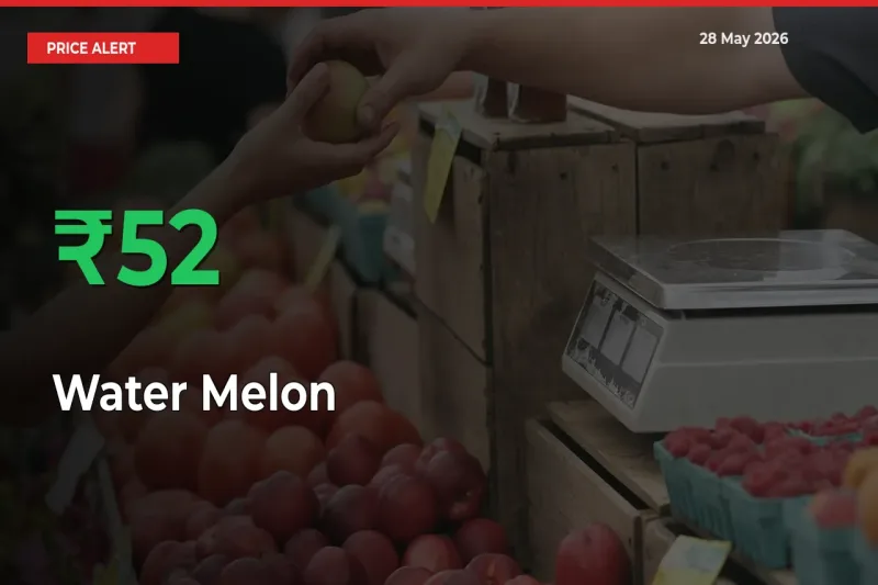 Sharp Jump! Water Melon Prices Climb 51.7% in 24 Hours at Key Mandis