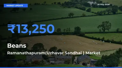 Ramanathapuram(Uzhavar Sandhai ) Leads as Top Mandi for Beans Prices