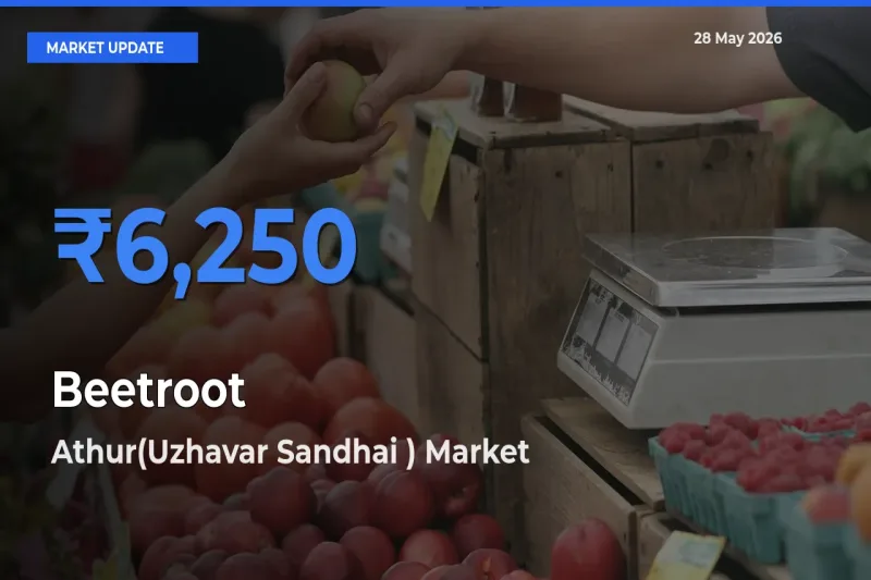 Top Performer! Athur(Uzhavar Sandhai ) Offers Best Beetroot Price Today