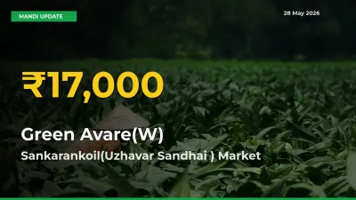Sankarankoil(Uzhavar Sandhai ) Leads as Green Avare(W) Hits Highest Rate – May 28 Update