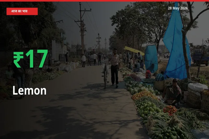 किसानों के लिए खुशखबरी! स्थानीय मंडी में नींबू 16.81% उछला