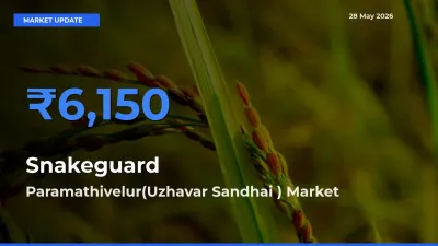 Market Watch: Paramathivelur(Uzhavar Sandhai ) Becomes Top Mandi for Snakeguard